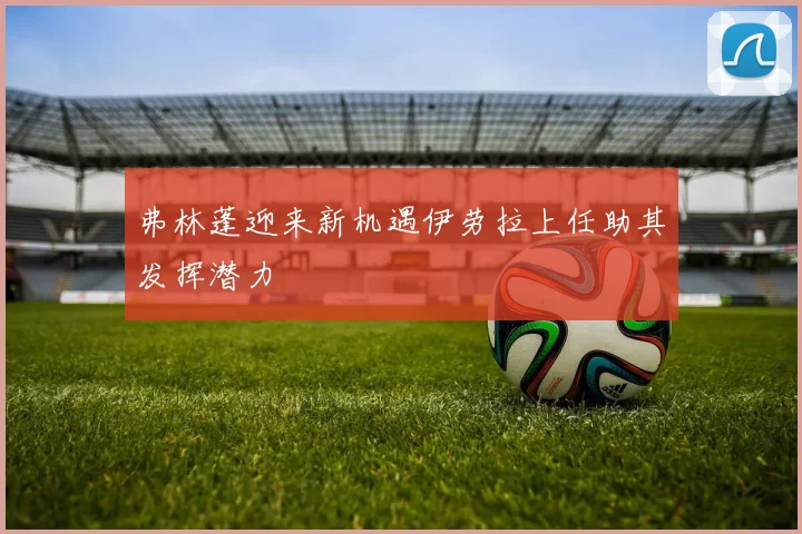 弗林蓬迎来新机遇伊劳拉上任助其发挥潜力