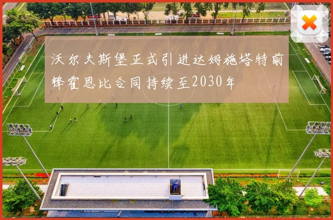 沃尔夫斯堡正式引进达姆施塔特前锋霍恩比合同持续至2030年